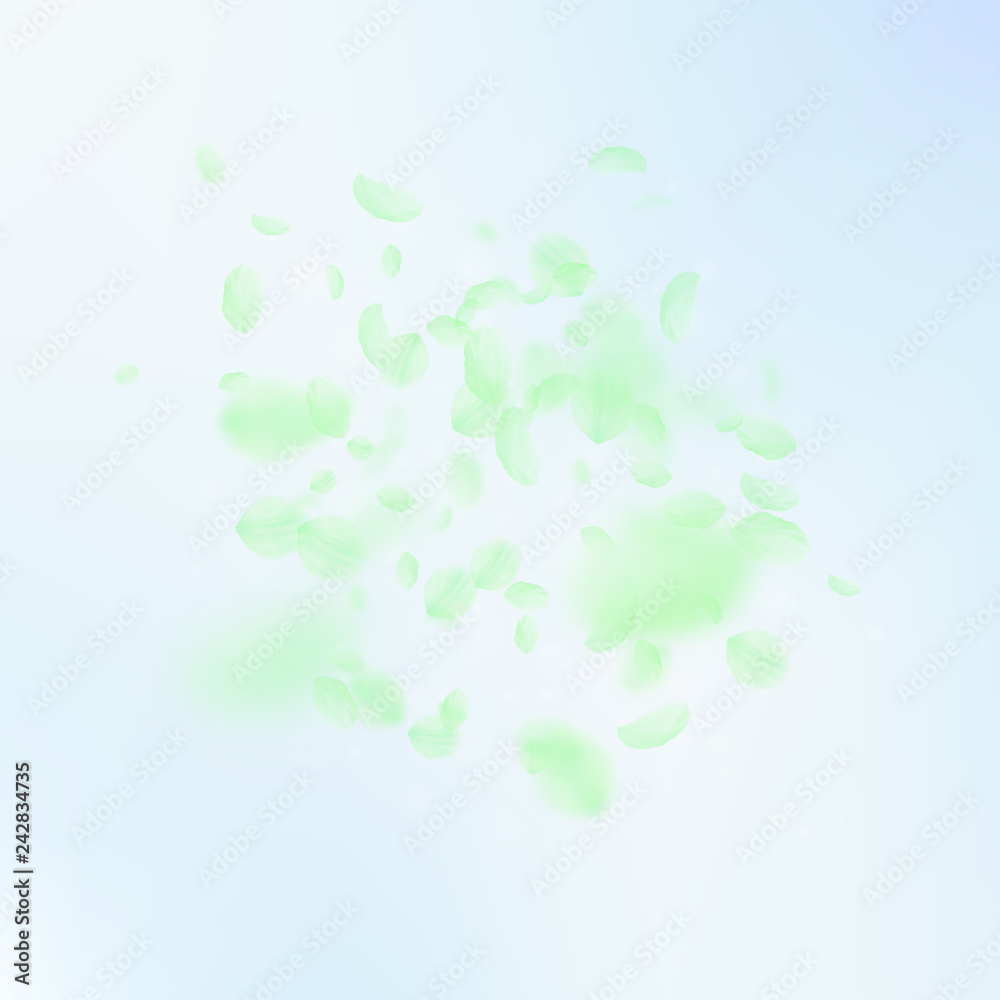 Green flower petals falling down. Nice romantic fl Green flower petals falling down. Nice romantic fl