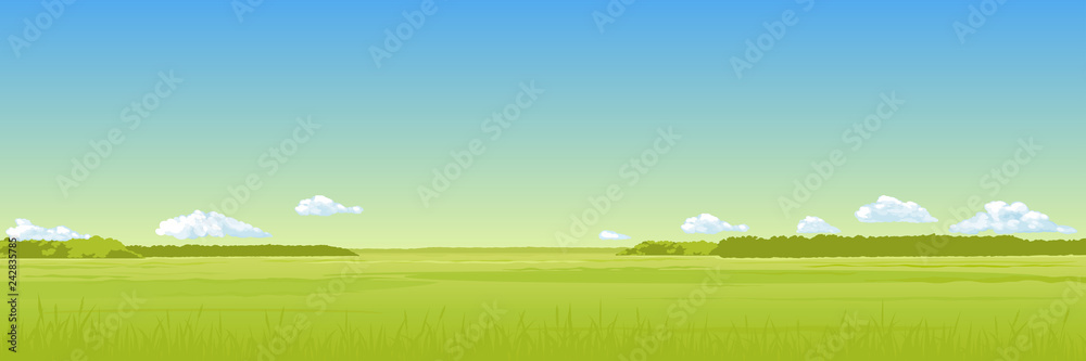 Panorama - the summer field
