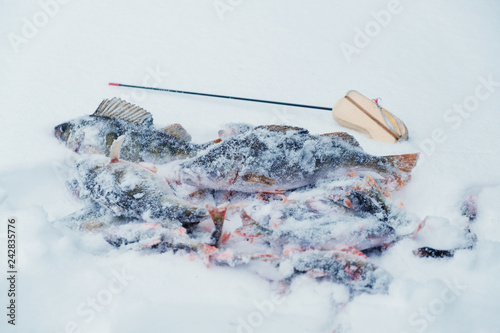 Winter fishing tackle. Fishing on the ice. photo