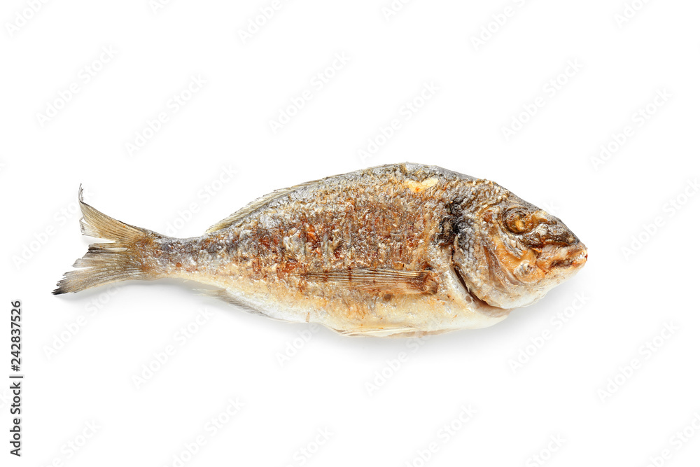 Grilled dorado fish on white background Grilled dorado fish on white background