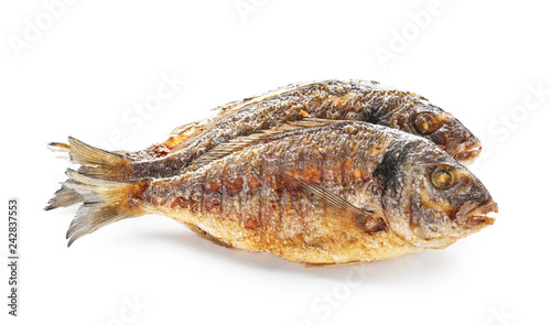 Grilled dorado fish on white background