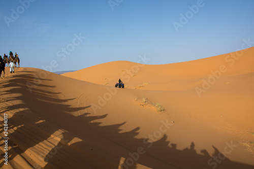 ruta en camello por el desierto de Marrakech, Marruecos