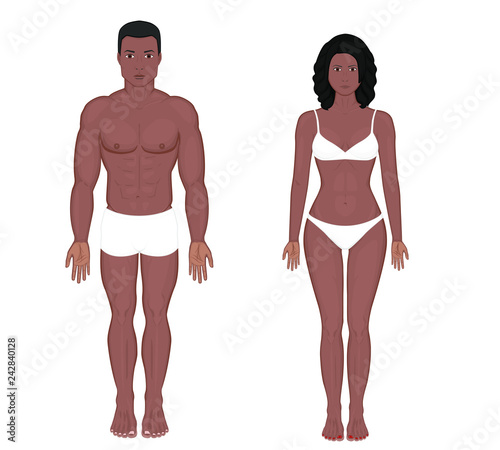 African American Indian man and woman naked body in full growth in underwear. Front view. Vector illustration for advertising, medical (healthcare), bodybuilding, sport publications