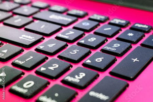 Obraz na plátně Pink laptop numeric keypad