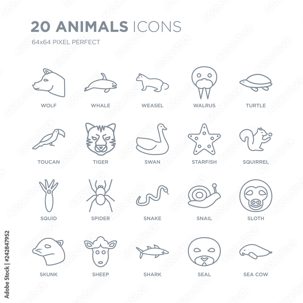 Collection of 20 animals linear icons such as Wolf, Whale, Shark, Sheep, skunk, Turtle, Starfish, Snake, Squid, Tiger line icons with thin line stroke, vector illustration of trendy icon set.