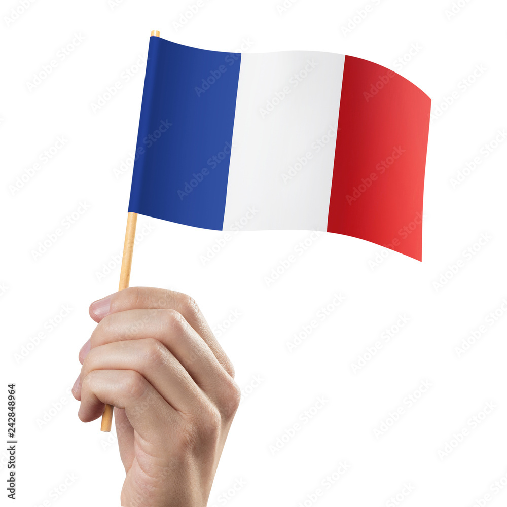Hand holding flag of France, isolated on white background Hand holding flag of France, isolated on white background