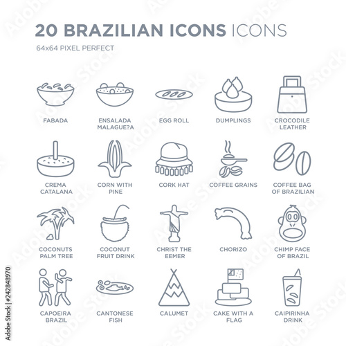 Collection of 20 Brazilian icons linear such as Fabada, Ensalada Malague?a, Calumet, Cantonese Fish line icons with thin line stroke, vector illustration of trendy icon set.