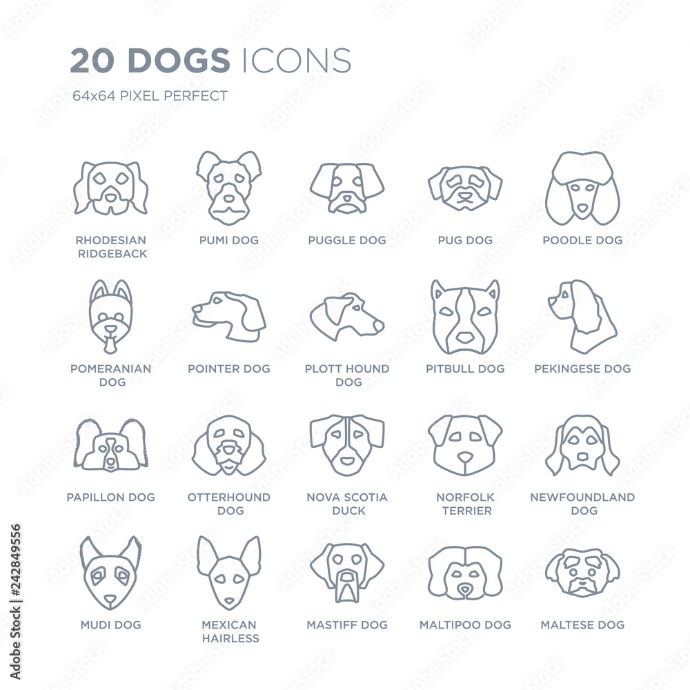 Collection of 20 dogs linear icons such as Rhodesian Ridgeback dog, Pumi Mastiff Mexican Hairless Dog Mudi dog line icons with thin line stroke, vector illustration of trendy icon set.