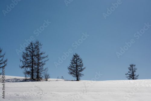 雪の丘と青空 