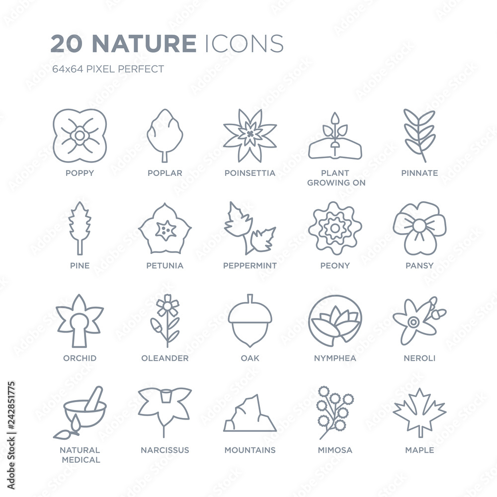 Collection of 20 nature linear icons such as Poppy, Poplar, Mountains, Narcissus, natural medical pills, Pinnate, Peony, Oak line icons with thin line stroke, vector illustration of trendy icon set.