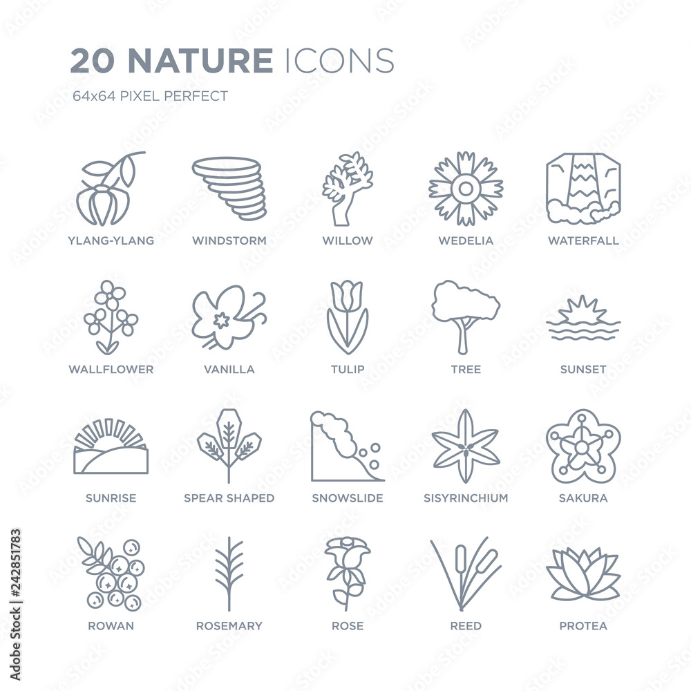 Fototapeta premium Collection of 20 nature linear icons such as Ylang-ylang, Windstorm, Rose, Rosemary, Rowan, Waterfall, Tree, Snowslide line icons with thin line stroke, vector illustration of trendy icon set.
