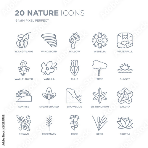 Collection of 20 nature linear icons such as Ylang-ylang, Windstorm, Rose, Rosemary, Rowan, Waterfall, Tree, Snowslide line icons with thin line stroke, vector illustration of trendy icon set.
