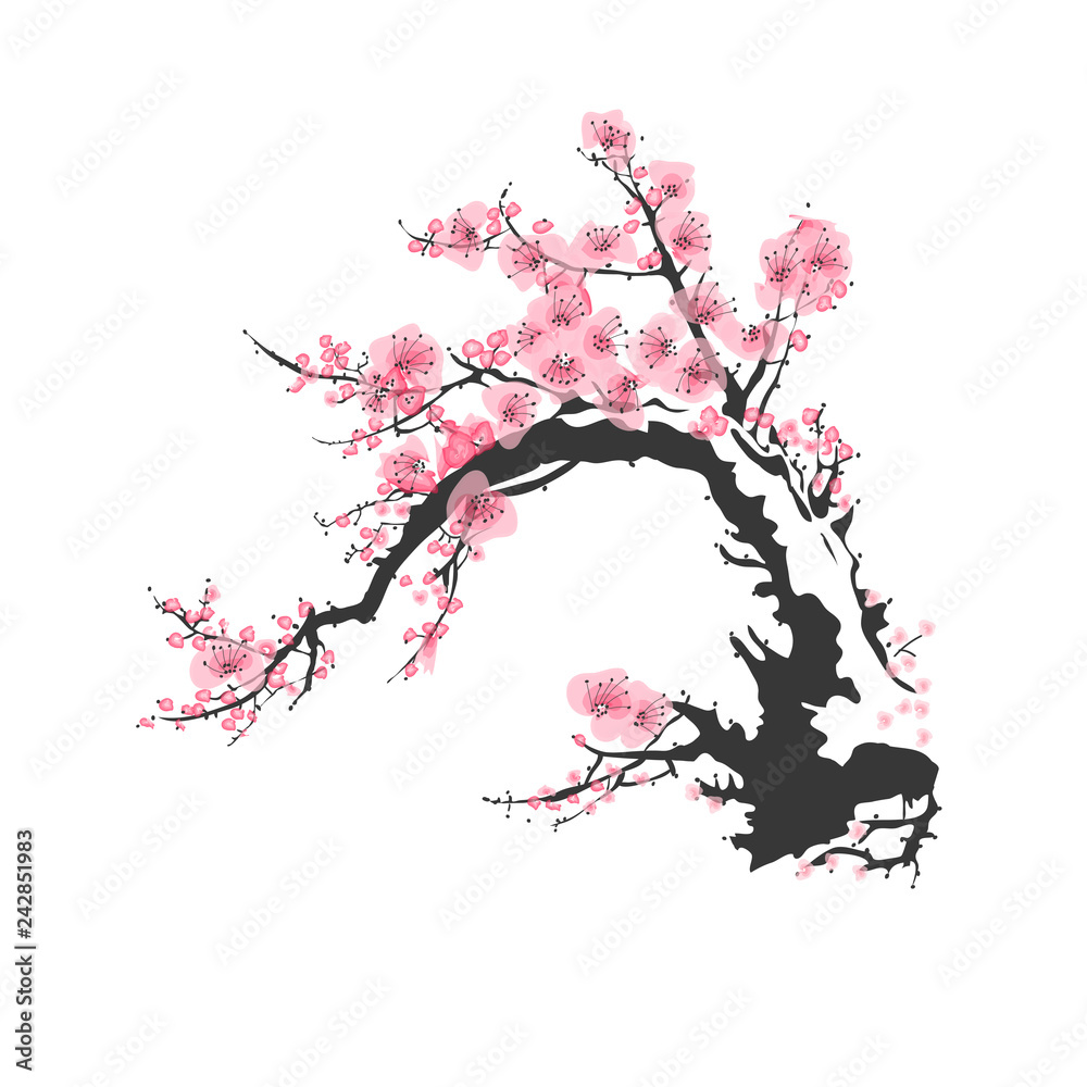 Realistic sakura blossom - Japanese cherry tree isolated on white ...