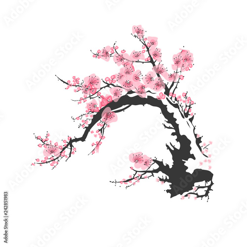 Fototapeta Naklejka Na Ścianę i Meble -  Realistic Sakura Blossom - Japanese Cherry Tree. Holiday Easter Bloom Branch. Plum Blooming Vector