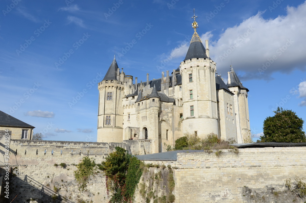 chateau de la loire 2