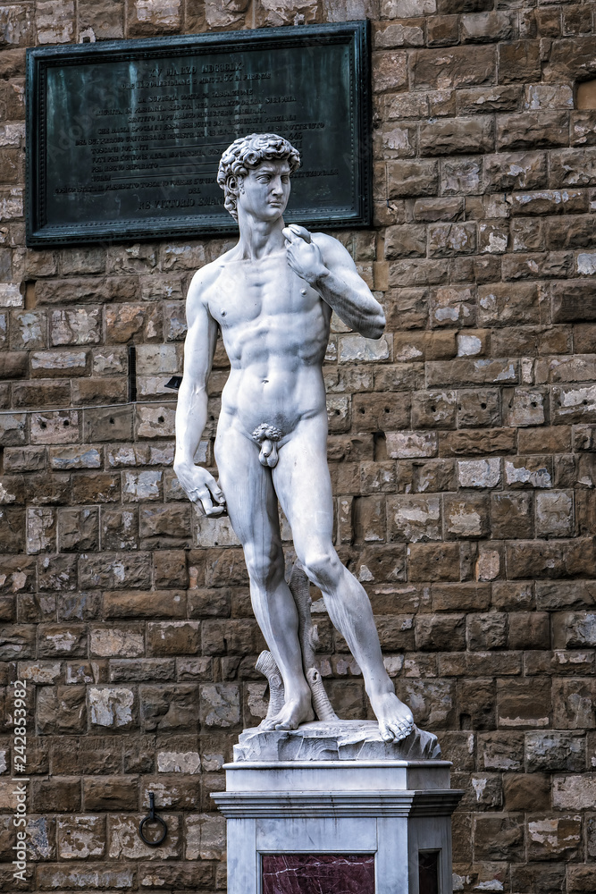 Naklejka premium Statue of David