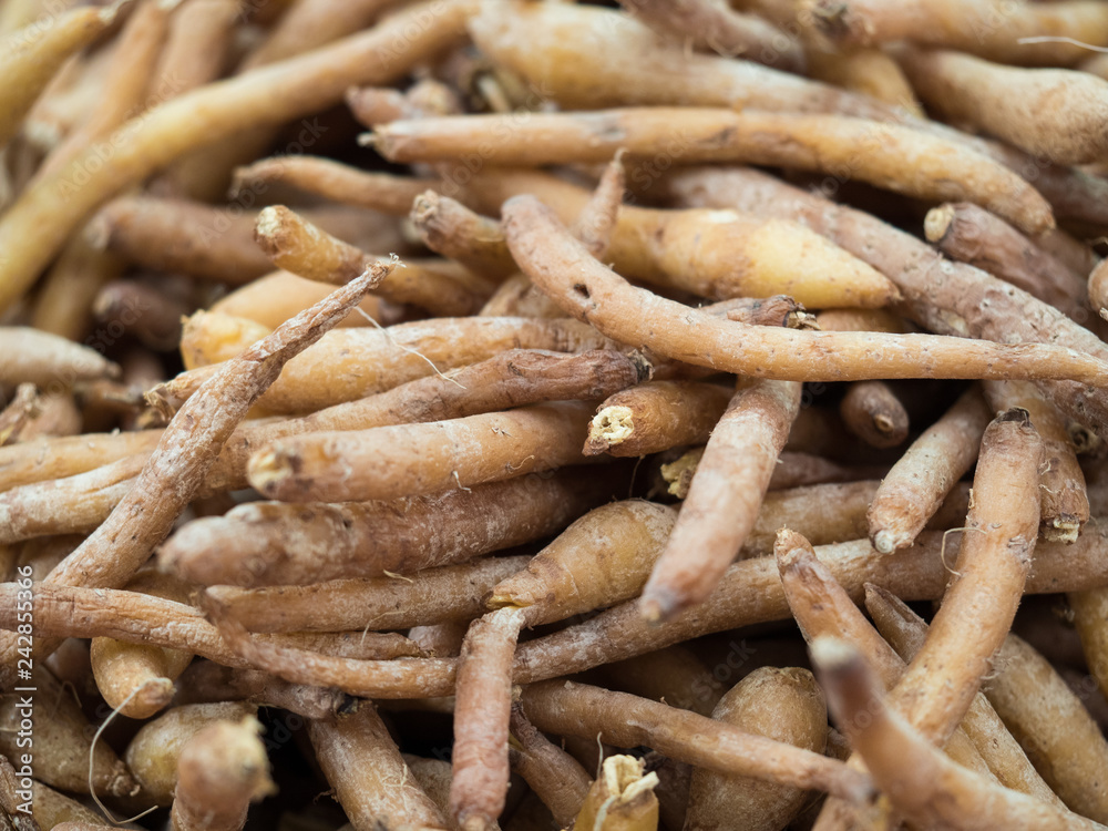 turmeric turmeric
