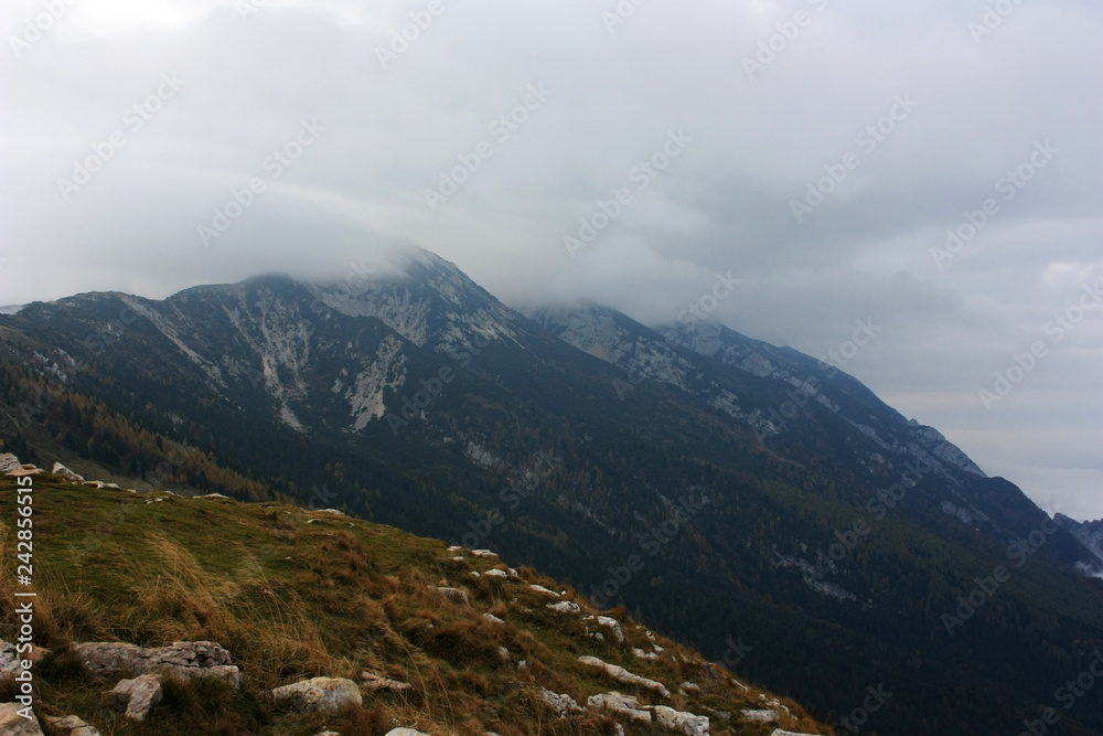 Mountainside Monte Baldo, Italy