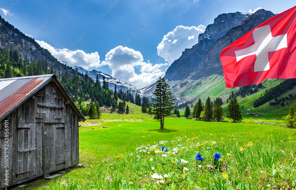 Schweizer Berge foto de Stock | Adobe Stock