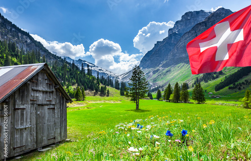 Schweizer Berge