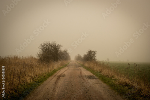 Ostfriesland - Böhmerwold