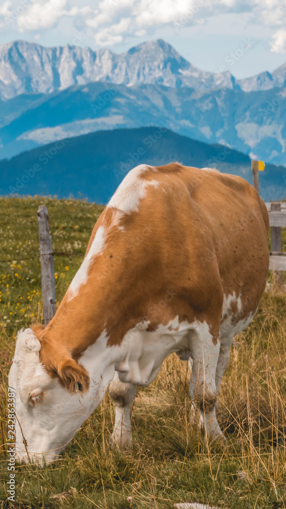 Smartphone HD wallpaper of beautiful alpine view at Wagrain - Salzburg - Austria Smartphone HD wallpaper of beautiful alpine view at Wagrain - Salzburg - Austria