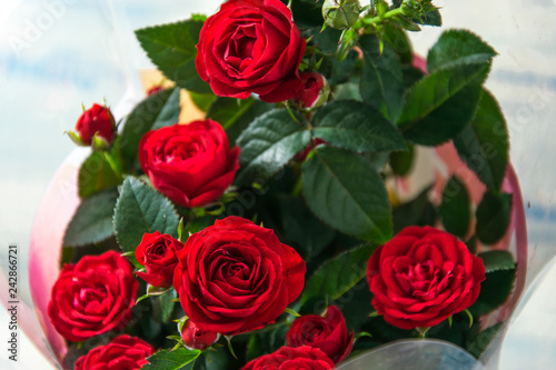 A bouquet of red roses. © Konstiantyn Zapylaie