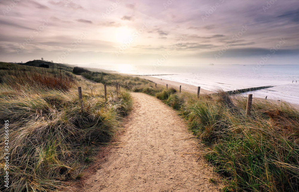 path on dune with view on North sea beach