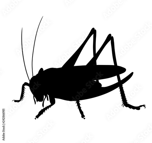 Silhouette of grasshopper. Hand drawn style design illustrations