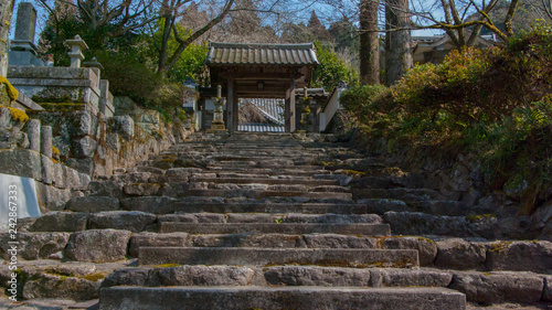 Ascending Stone Stairs to Shinto Shrine 