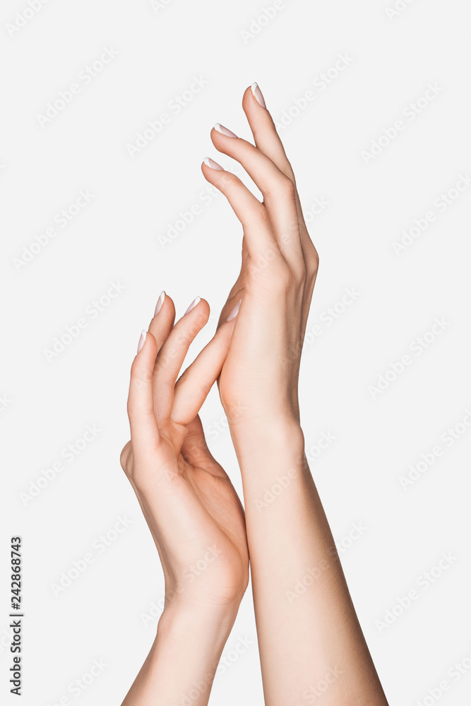 cropped view of female hands isolated on white cropped view of female hands isolated on white