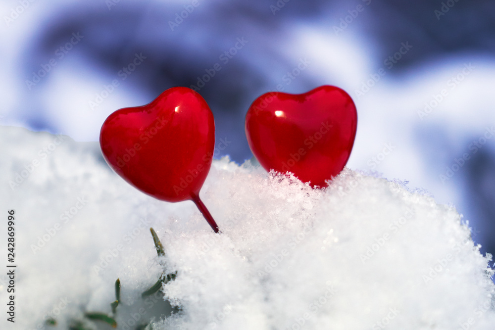Red Valentine lollipop Hearts on a spruce branch covered with the white real snow