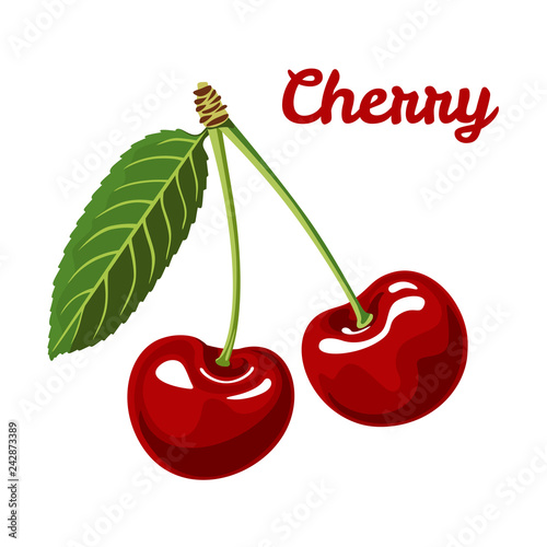 Vector cherry. Red berries and green leaf. Vector illustration of fresh berry in flat style. Isolated on white background.