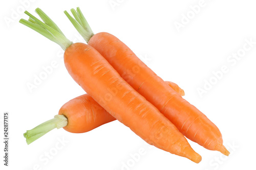 Karotten Möhren Karotte Möhre Gemüse gesunde Ernährung Freisteller freigestellt isoliert
