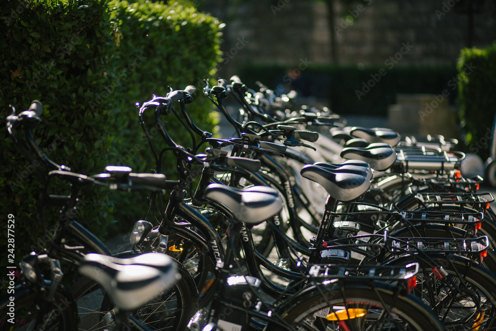 rental bicycle