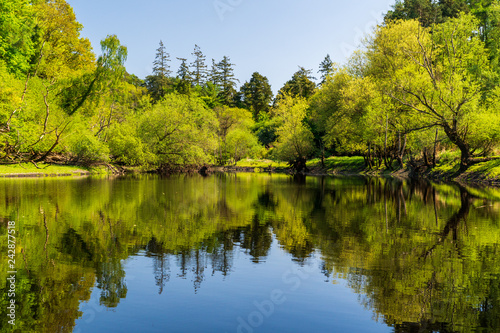 Blue lake reflections in the forest at the beginning of Spring with fresh green trees mirrored in the water. Dublin Mountains Way scene at Bohernabreena Reservoir, Ireland.