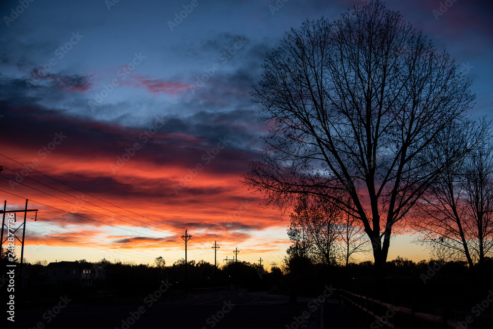 Sunrise in the park Sunrise in the park
