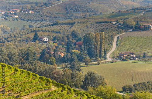 View on rows of vineyards and country villages in autumn in the Langhe region, Piedmont, Italy © Marco
