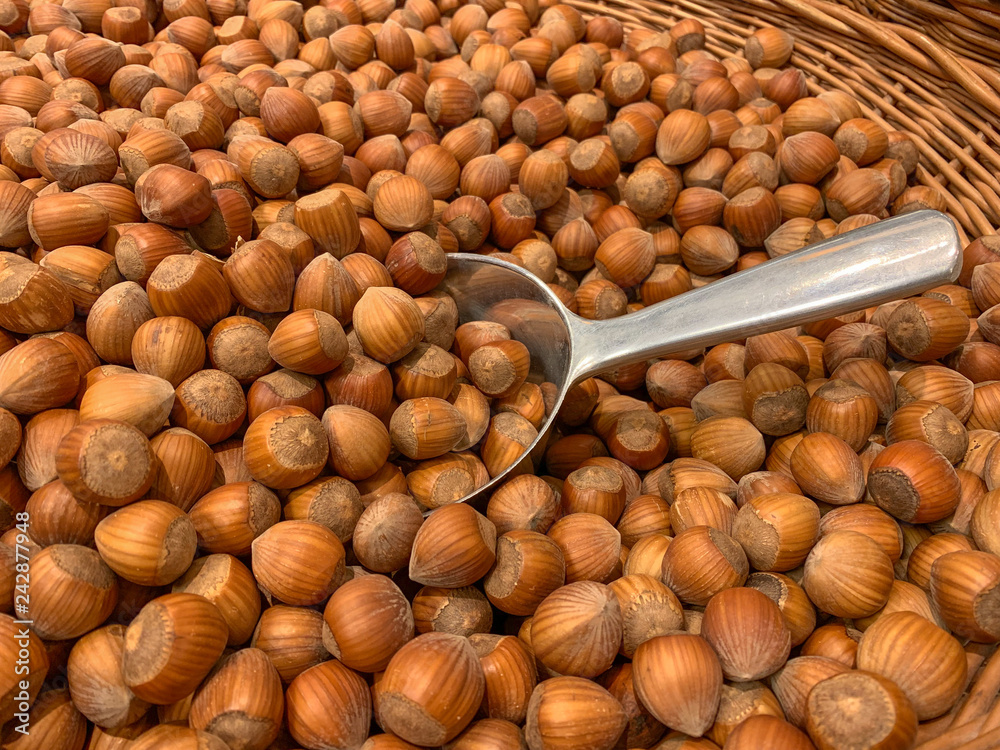 Ripe hazelnuts in a basket with a ladle. Concept: food