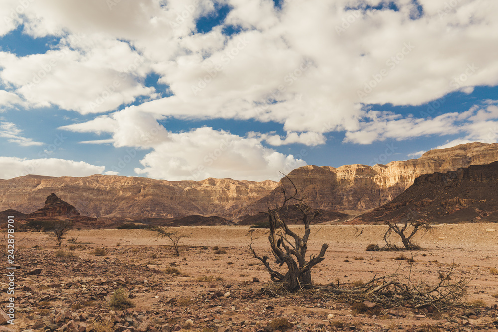 Timna national park by Eilat in southern Israel 