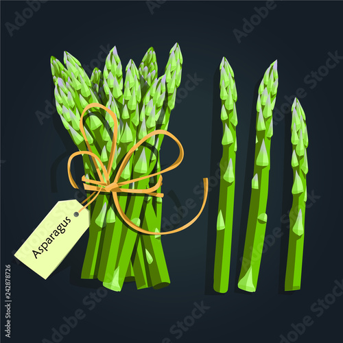 Asparagus vegetable stem. Bunch of fresh green asparagus sprout. Healthy food, dieting, vegetarian salad recipe design.