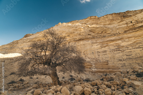 Ein Avdat National Park Israel photo