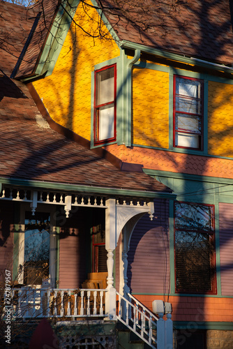 Painted Lady photo