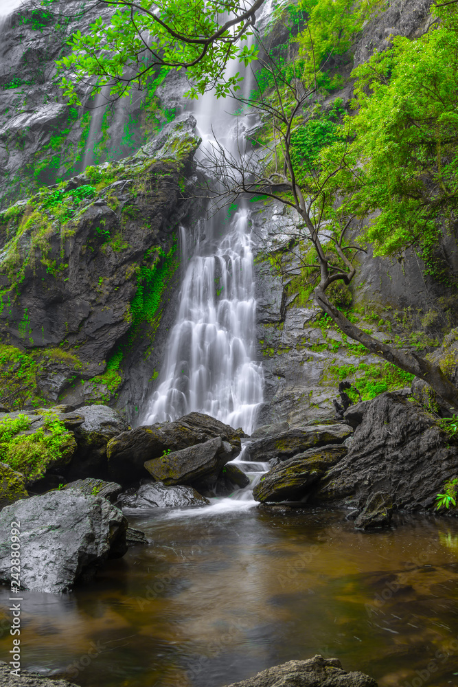 Fototapeta premium Khlong Lan Waterfall, the beautiful waterfall in deep forest at Khlong Lan National Park ,Kamphaeng Phet, Thailand