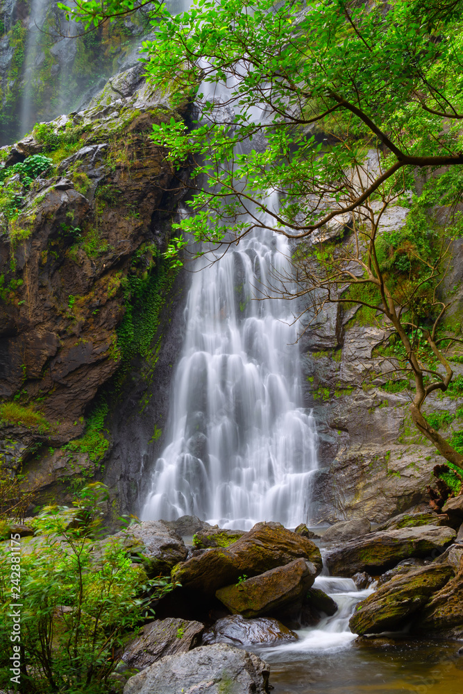 Fototapeta premium Khlong Lan Waterfall, the beautiful waterfall in deep forest at Khlong Lan National Park ,Kamphaeng Phet, Thailand,