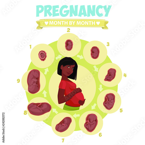 Dark-skinned pregnant  beautiful woman vector infographics. Pregnant woman wearing hijab. Muslim. Pregnancy by trimester stages vector illustration. Female with fetus in belly.