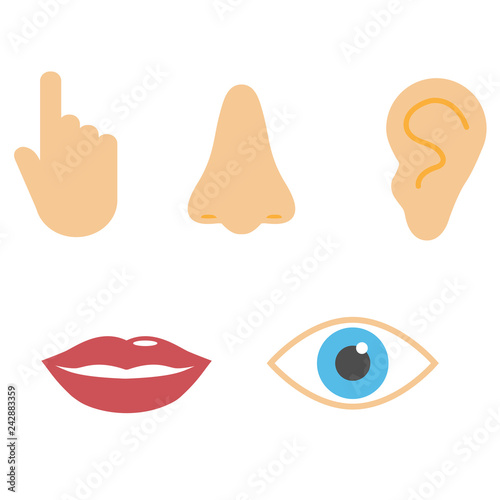 Human senses icon. Vector illustration, flat design.