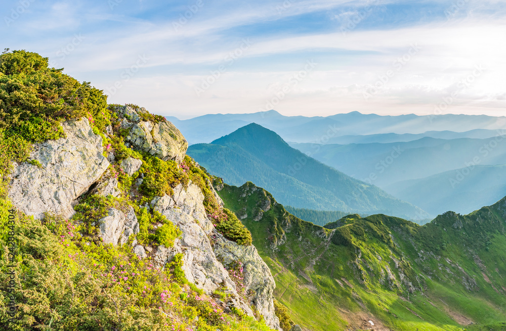 Sunrise in Ukrainian Carpathians. Stones with rhododendrons on foreground with foggy background.