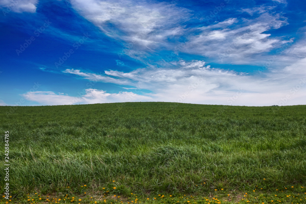 A small hill covered in vibrant green grass under a blue lightly-clouded sky. 