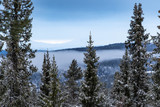Forest and vew over the mountain in the nord marka of Norway during winter with snow
